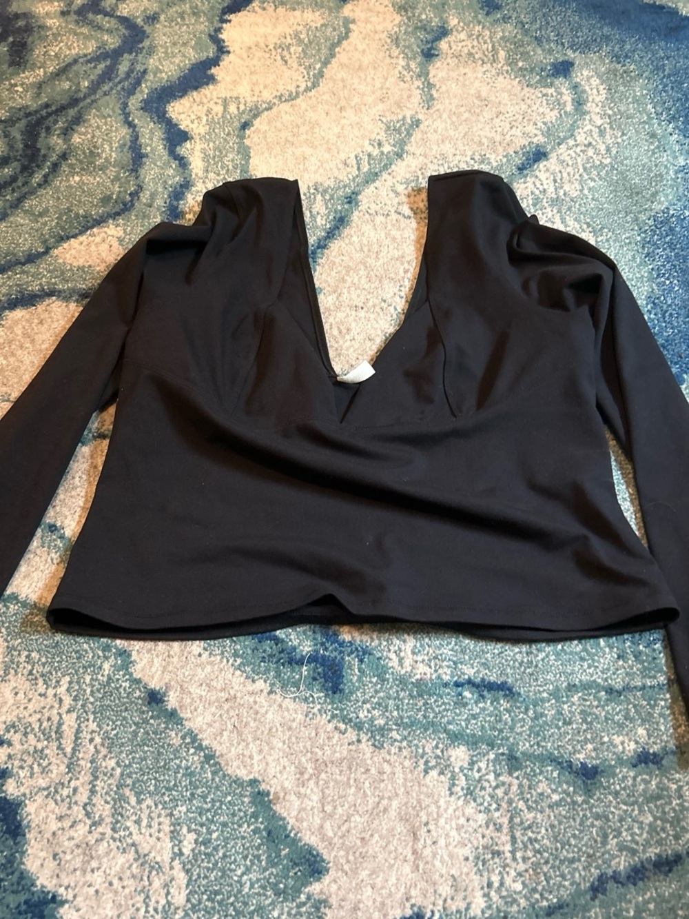 Free People Black Long-Sleeve V-Neck Crop Top